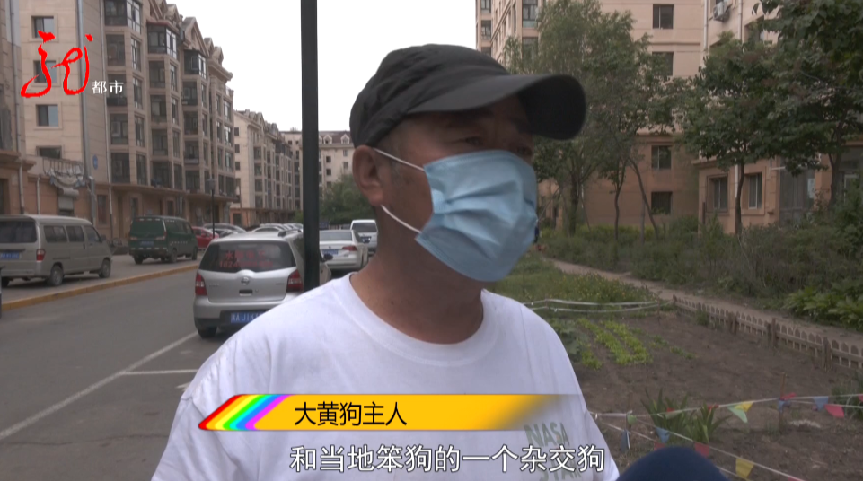 眼瞅着自家宠物狗被咬死却无能为力，哈尔滨女子下楼遛狗遭遇恐怖一幕！休闲区蓝鸢梦想 - Www.slyday.coM