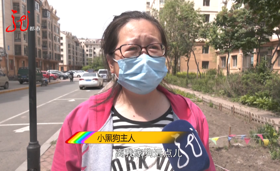 眼瞅着自家宠物狗被咬死却无能为力，哈尔滨女子下楼遛狗遭遇恐怖一幕！休闲区蓝鸢梦想 - Www.slyday.coM