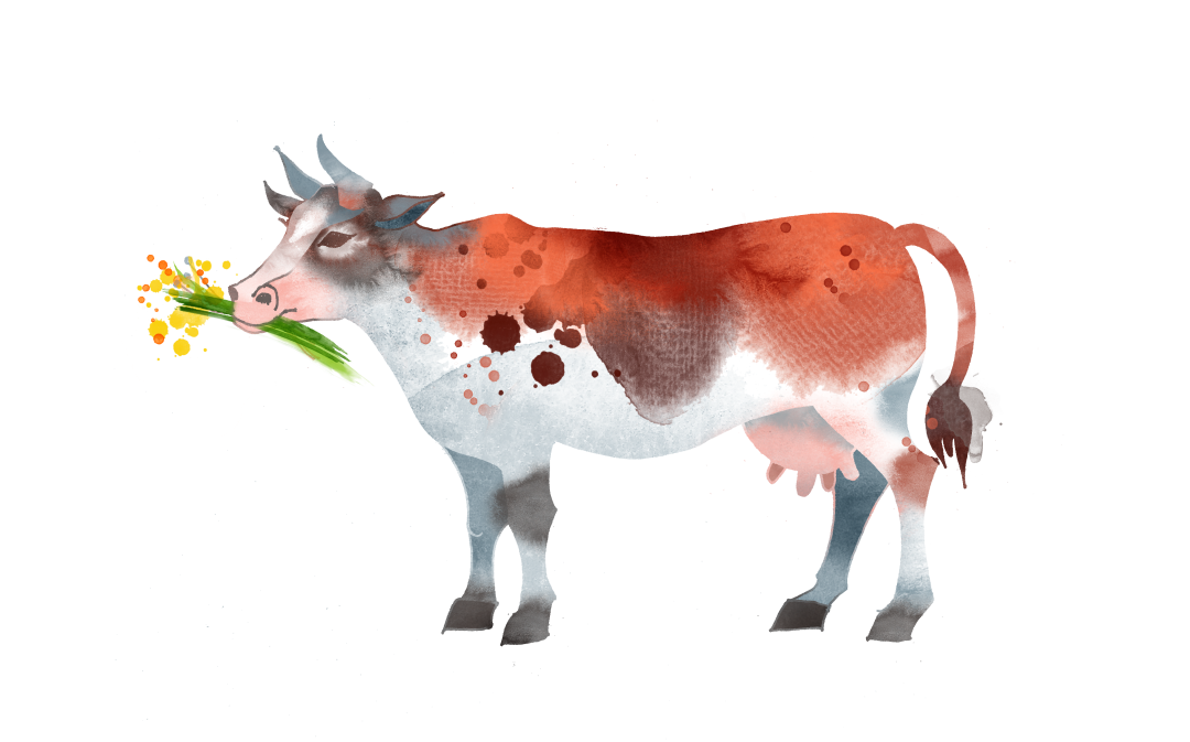 大连疾控中心发布最新提醒 手足口病 新冠肺炎 新浪新闻