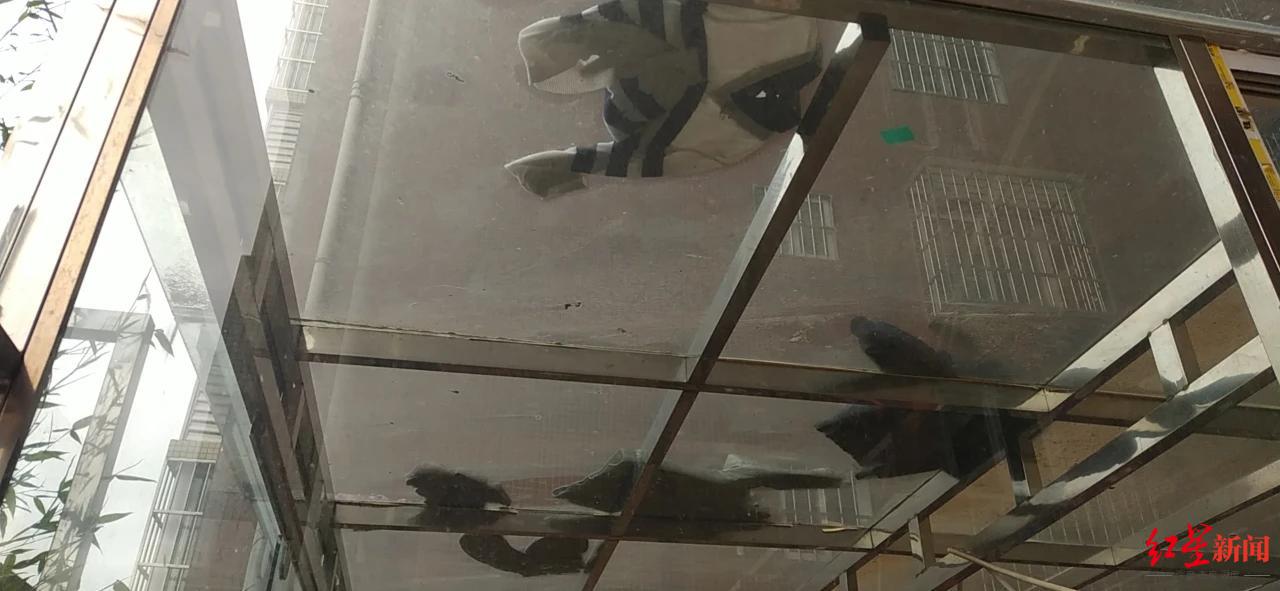 男子从20楼扔衣物砸坏楼下住户玻璃，涉嫌高空抛物罪被刑拘休闲区蓝鸢梦想 - Www.slyday.coM