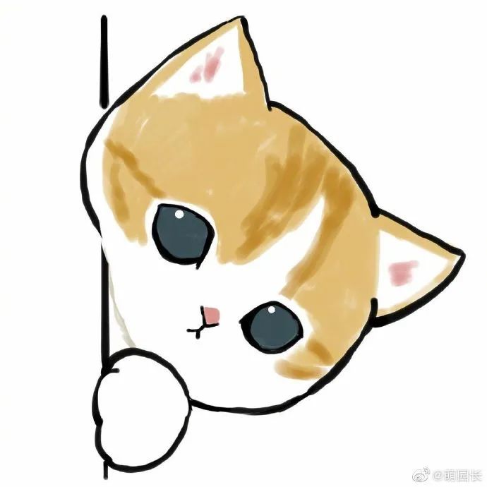 让猫猫悄咪咪的看看探头探脑太可爱了