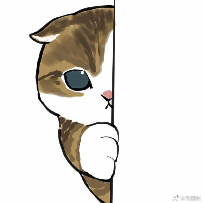 让猫猫悄咪咪的看看探头探脑太可爱了
