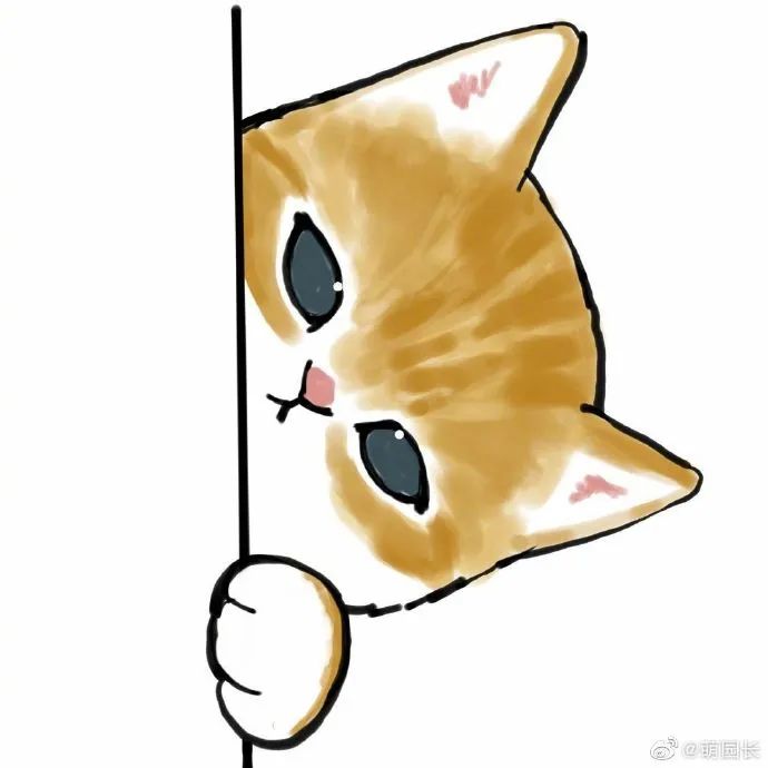 让猫猫悄咪咪的看看探头探脑太可爱了