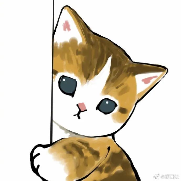 让猫猫悄咪咪的看看探头探脑太可爱了