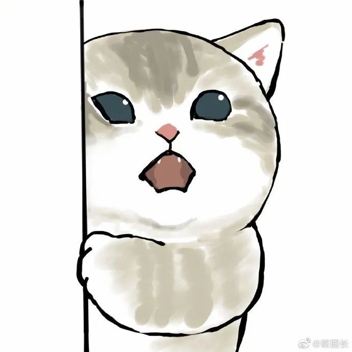 让猫猫悄咪咪的看看探头探脑太可爱了