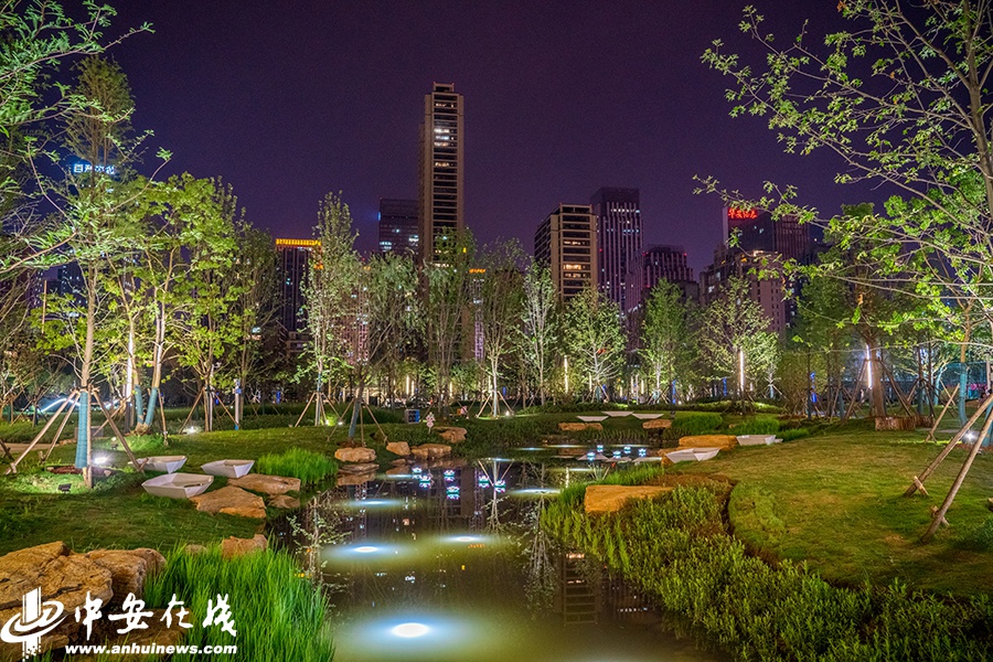 初夏夜晚,去合肥石台路公园"打卡"