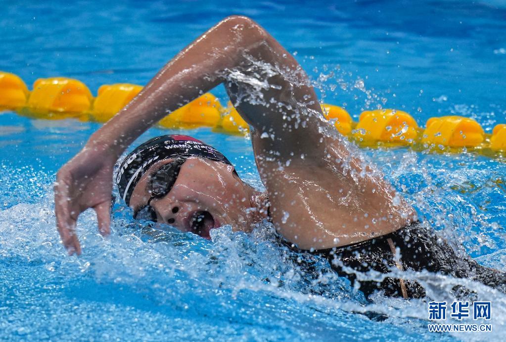 游泳全国冠军赛赛况