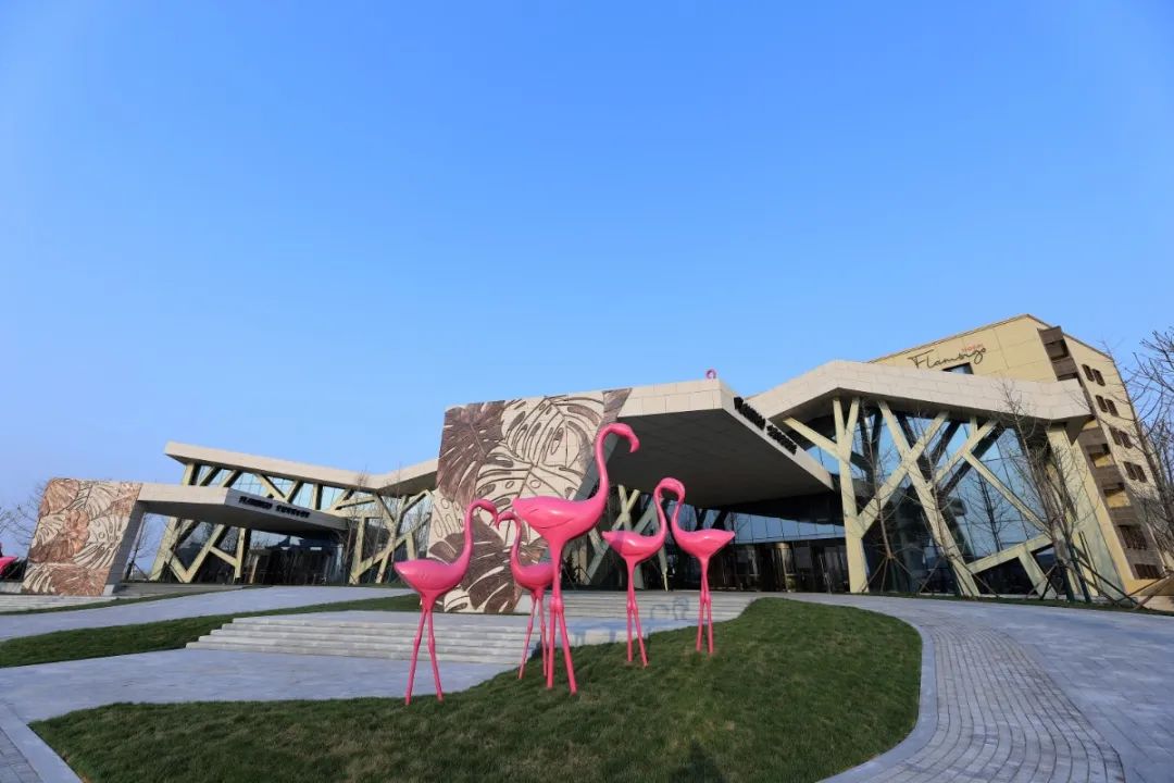 火烈鸟生态特色酒店-在这里乘着热气球,看着火烈鸟全程亲子互动虐伴