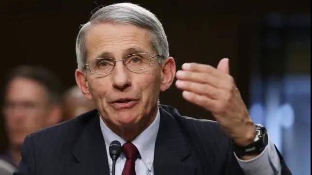 印度新冠疫情失控！福奇提出建议：快学中国！休闲区蓝鸢梦想 - Www.slyday.coM