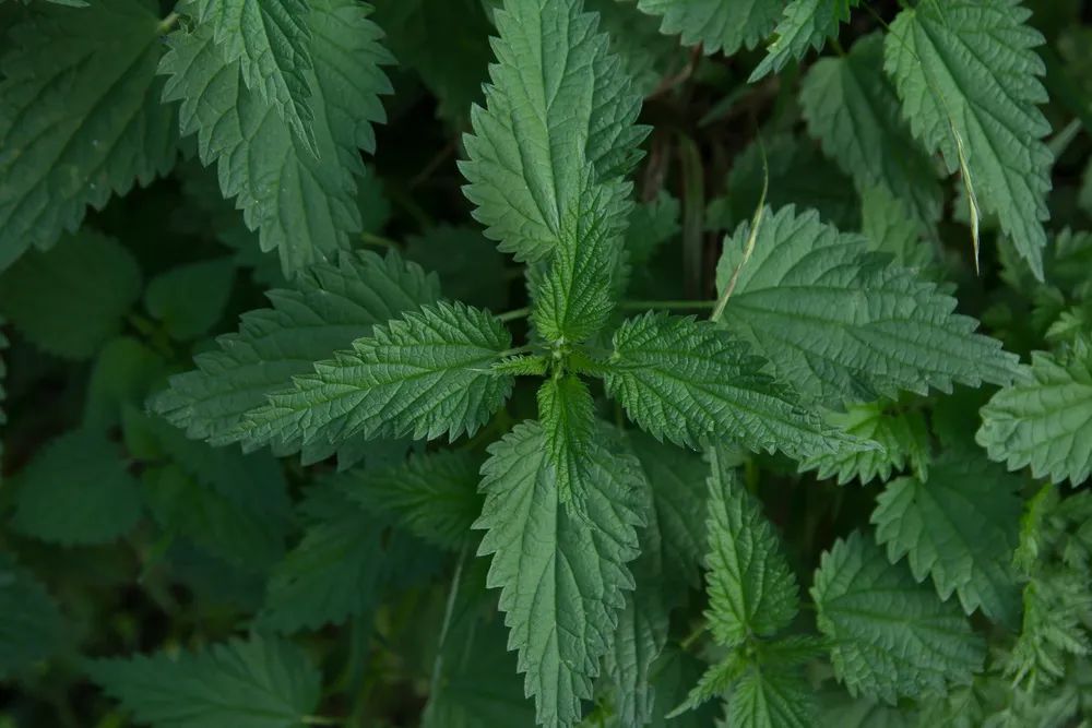 醒来！17休闲区蓝鸢梦想 - Www.slyday.coM