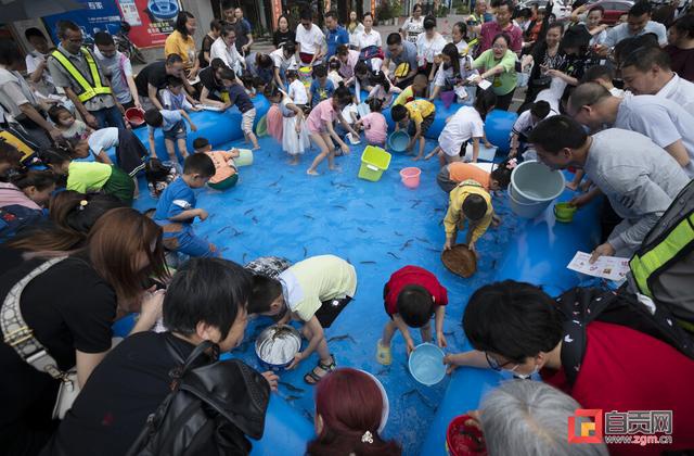 英祥集团欢度六一·快乐童年捉泥鳅大赛暨爱心公益捐赠活动举行