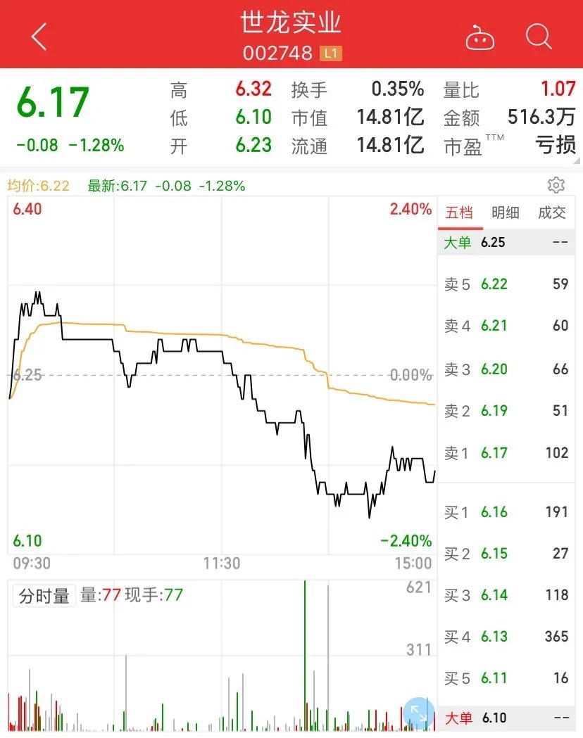 世龙实业5月28日股价分时走势图。截图来源:同花顺