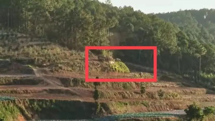 最新消息|野象团一路向北 附近村民架网防范