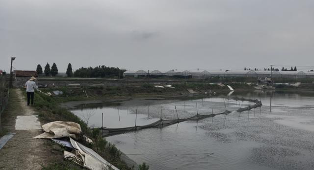 嘉善掉落的不明物体究竟是啥？鱼塘老板：我们成了新闻主角，还有人劝我们搞直播休闲区蓝鸢梦想 - Www.slyday.coM