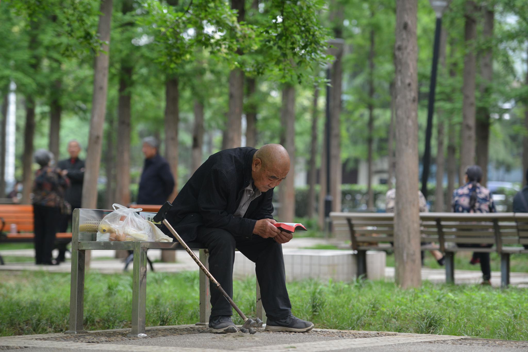 未来5至10年，我国人口老龄化水平加速提升几乎已成定局。图为2021年5月12日，在安徽省阜阳市林带路公园内休闲的老人。 视觉中国 图