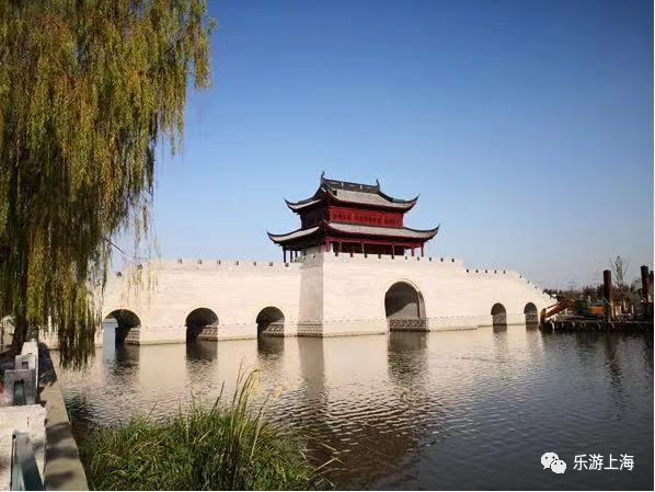 探索青浦这些网红桥你打卡过吗