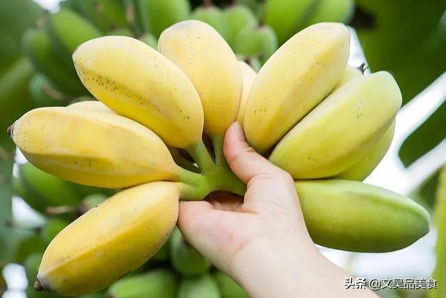 梦境的交织，解析梦见买香蕉和葡萄的深层含义