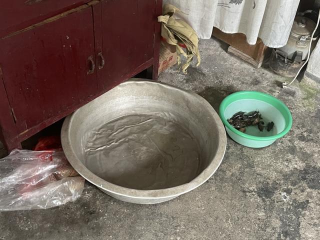 嘉善掉落的不明物体究竟是啥？鱼塘老板：我们成了新闻主角，还有人劝我们搞直播休闲区蓝鸢梦想 - Www.slyday.coM