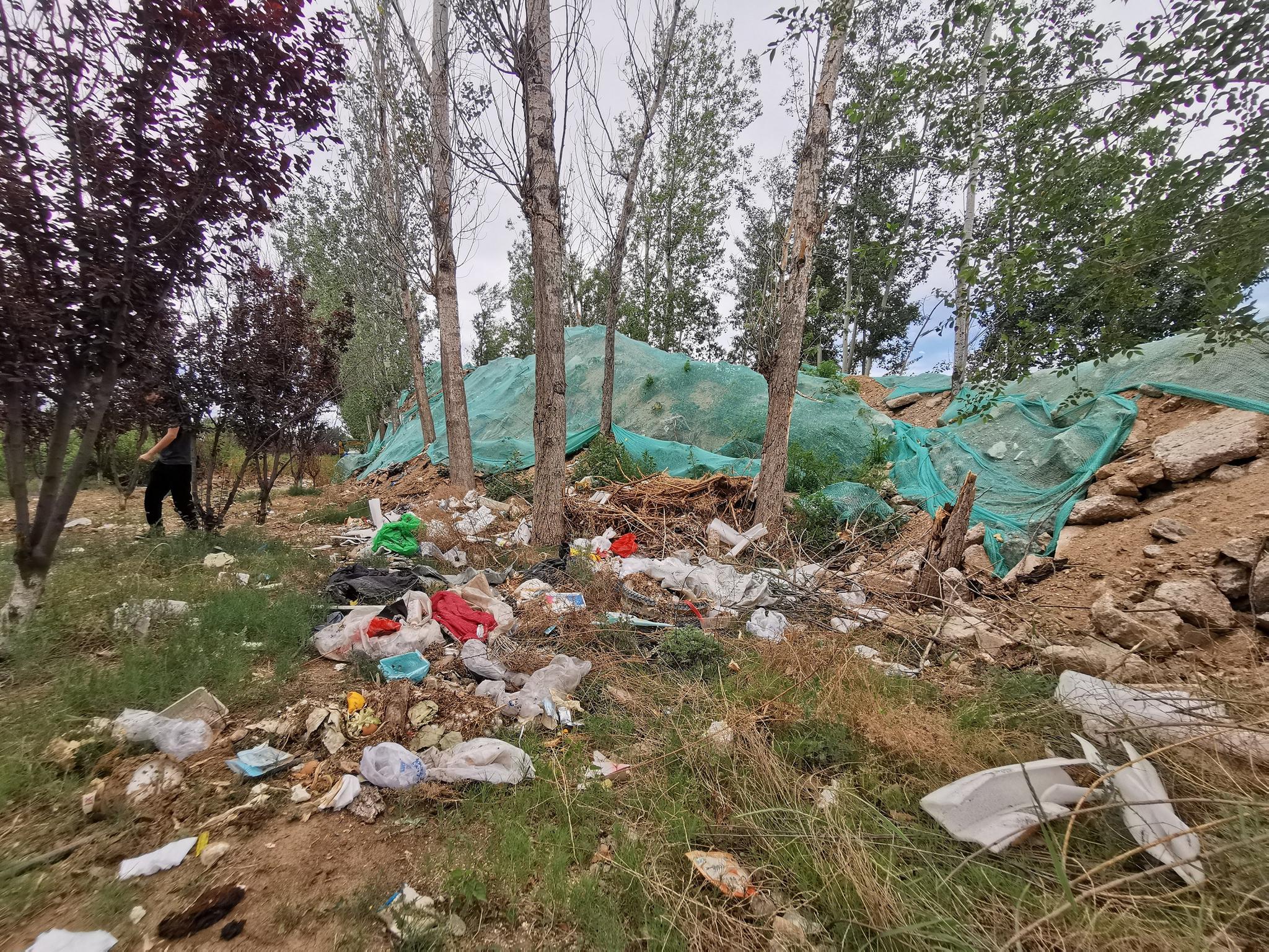 触目惊心!顺义一村庄农田旁,林地下到处是垃圾恶臭不断