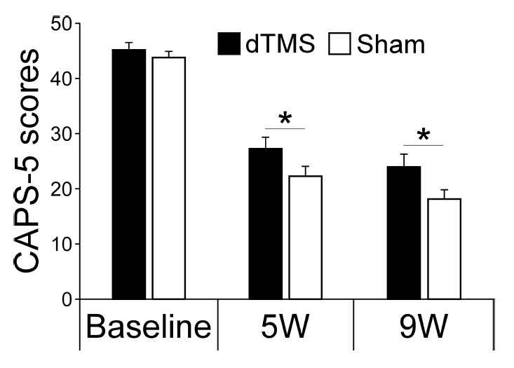 sql数据库网站模板