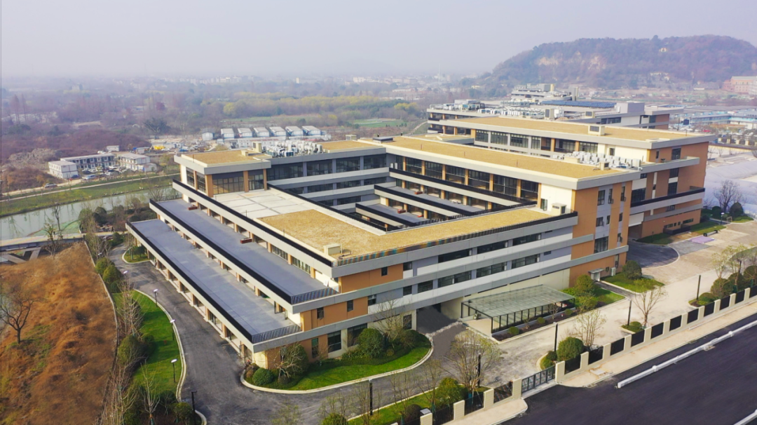 留意到,今年第二批招生录取学校多了一所"宝藏"学校——杭州云谷学校