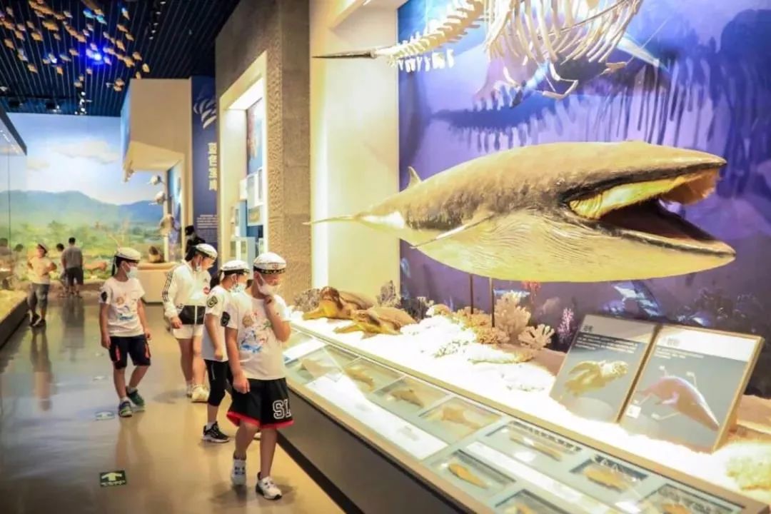 抵达舟山海洋博物馆,参观,学习海洋生物以及相关知识,海洋知识大考验.