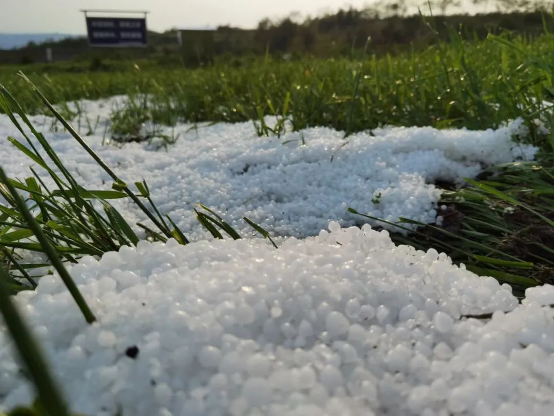 贵州启动气象灾害(暴雨)Ⅳ级应急响应 昨晚贵阳,毕节出现冰雹