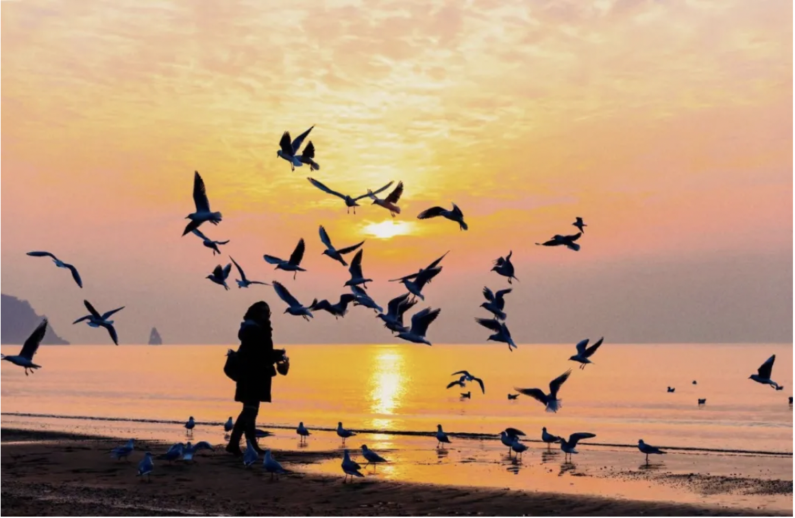 醉美四方青岛喝不完的啤酒吃不厌的海鲜看不尽的美景