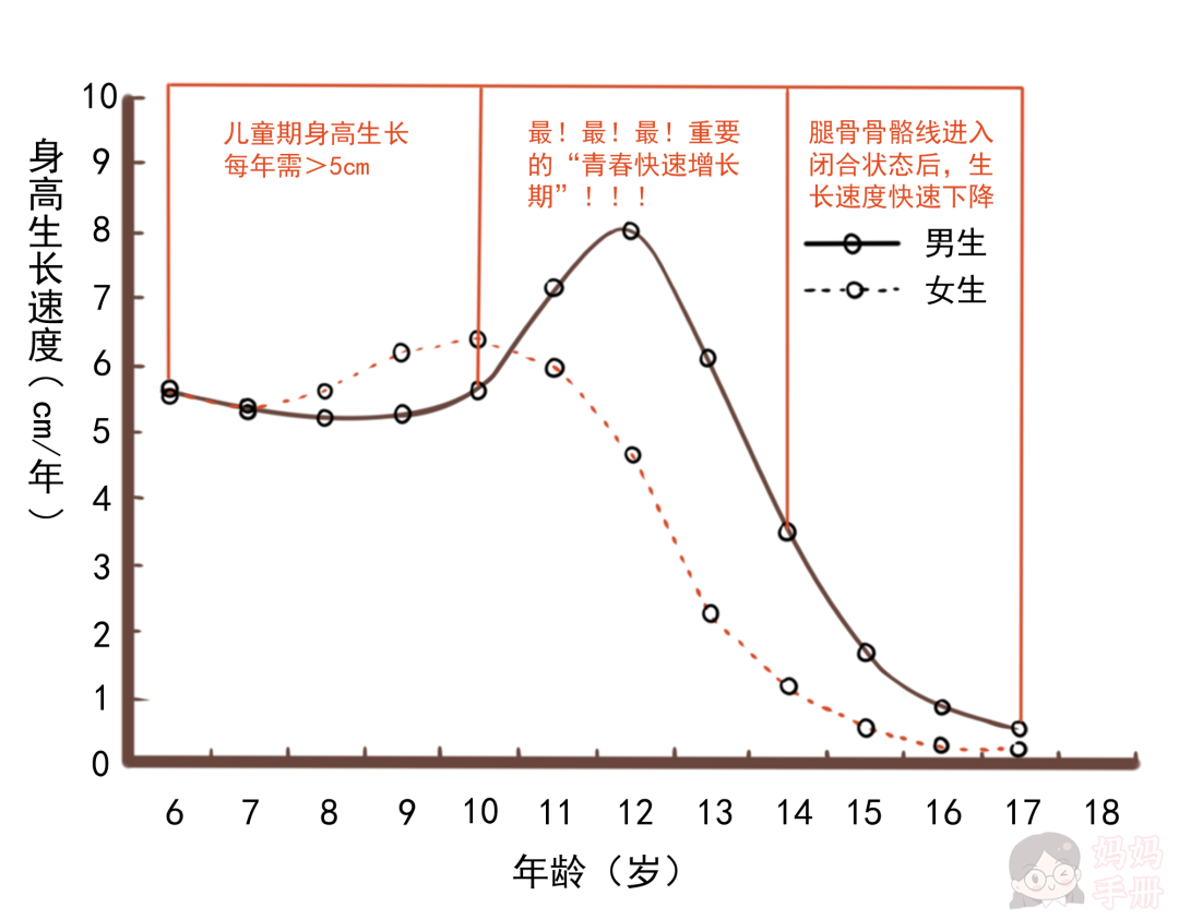 生活中,很多家长都比较重视孩子青春期的身高发育,而忽视其他年龄阶段
