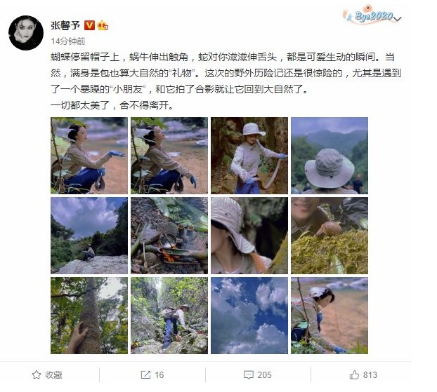 张馨予野外探险徒手抓蛇 网友:妥妥的"张大胆"
