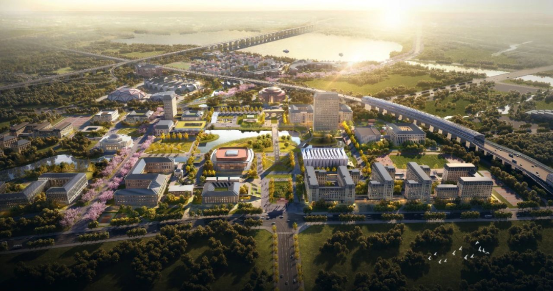 浙江大学"一带一路"国际医学院及附属医院,北京协同创新研究院等高校