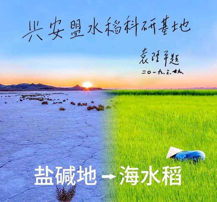 他的第三个梦,是"在中国改造1亿亩盐碱地,推广海水稻,增加粮食产量.