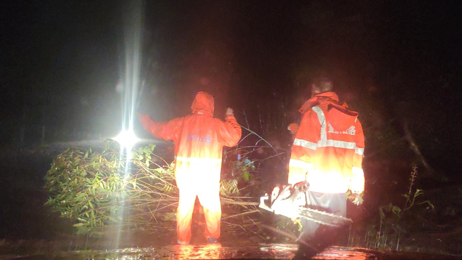 狂风暴雨致重庆百余亩森林被毁，部分地区道路通行严重受阻