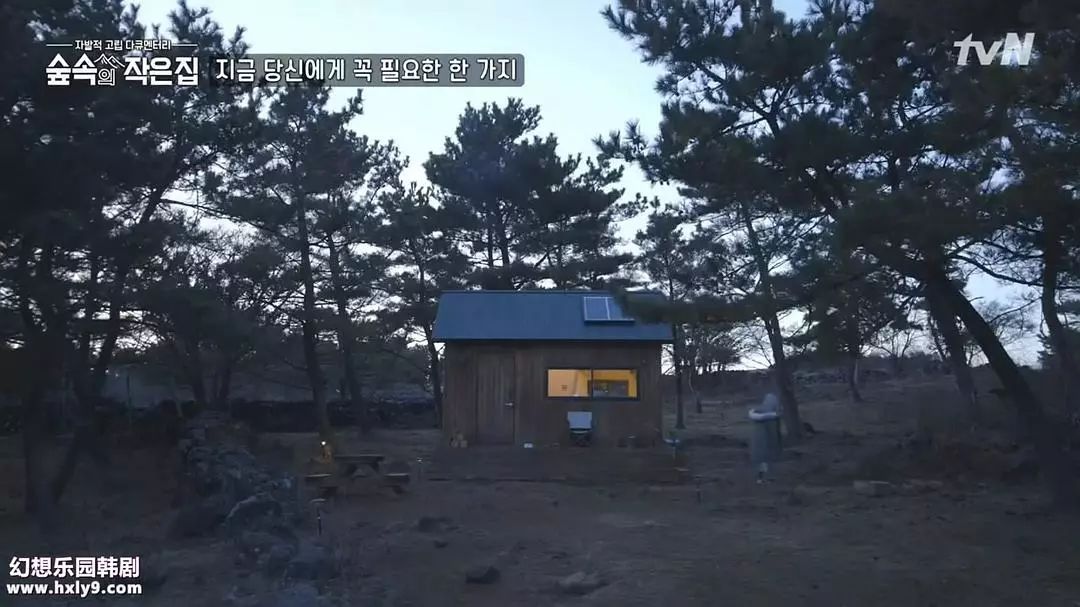 《林中小屋》讲的是将朴信惠和苏志燮作为实验对象,逃离都市生活在