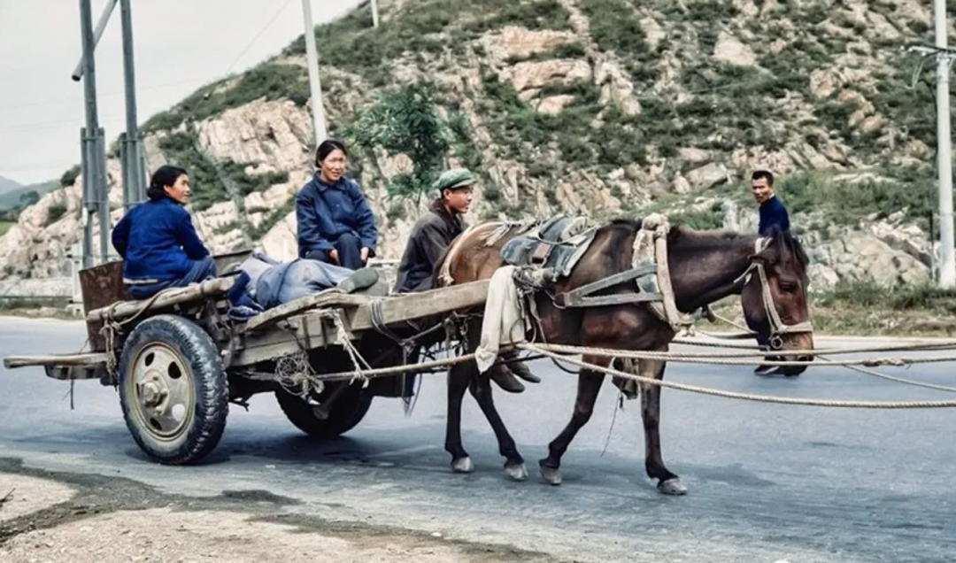 六七十年代的马车图片图片