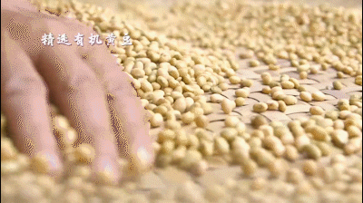 黄豆酱_新浪新闻