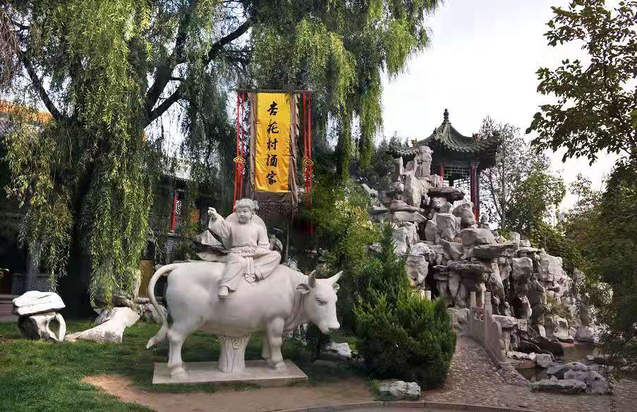 醉美四方丨在贾樟柯故乡汾阳品一杯清香汾酒