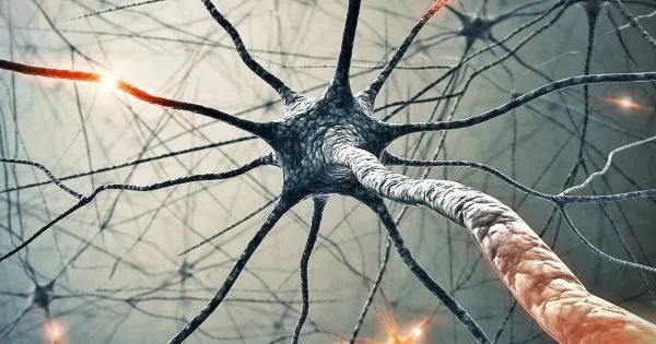 错误的记忆可以被逆转记忆操控真的存在