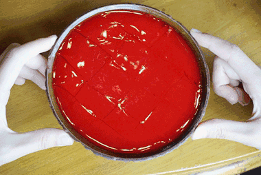 怎么区分血凝创血淋淋的教训！牙科医生劝诫，拔牙之后千万不能吸烟_https://www.jmylbn.com_新闻资讯_第7张