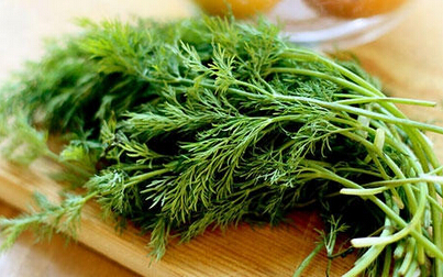 七夕会美食 | 五月,来顿茴香大全宴