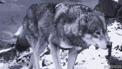 怎么区分血凝创血淋淋的教训！牙科医生劝诫，拔牙之后千万不能吸烟_https://www.jmylbn.com_新闻资讯_第4张