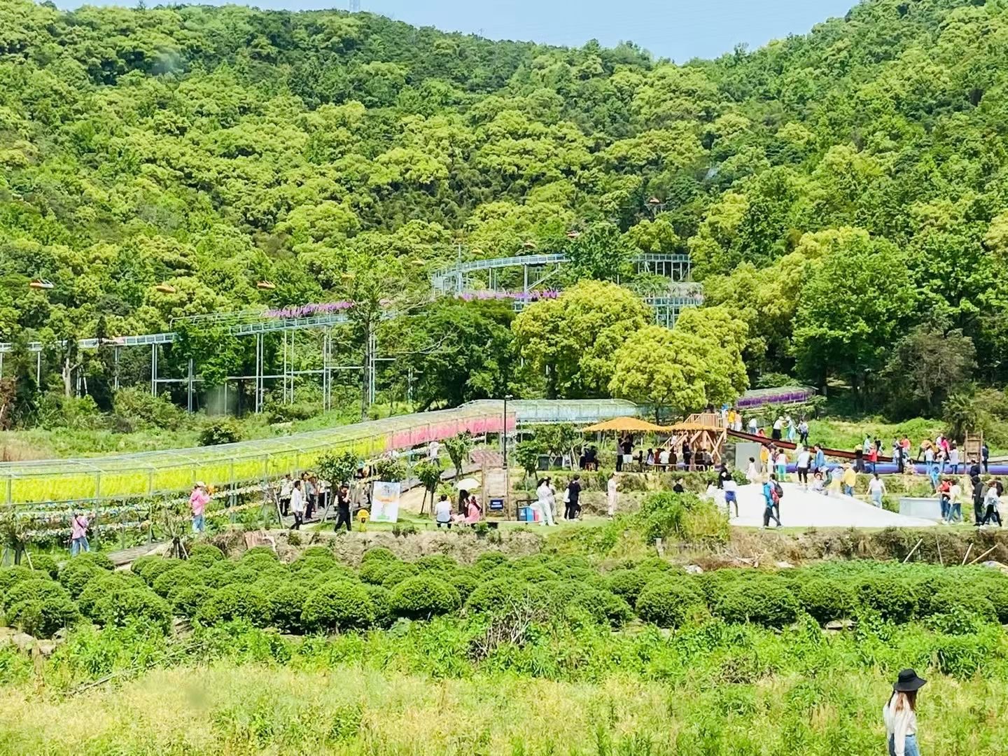 网红景点假期再火热象山茅洋欢乐乡村游火爆五一小长假