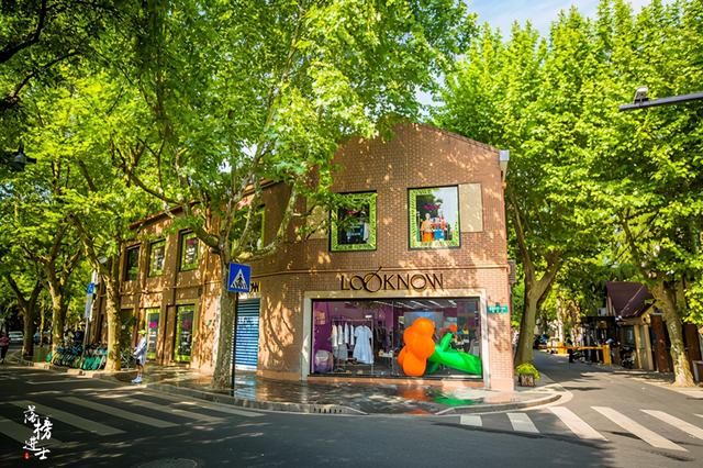 上海有一条网红马路很多游客专程来打卡网友这里太文艺啦