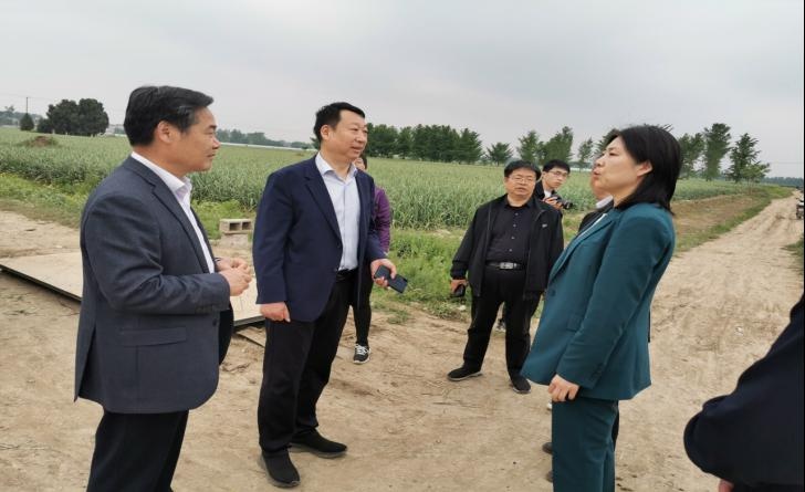 兰陵县政府召开小麦条锈病防控工作紧急会议