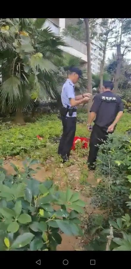三亚女子在20多层阳台外跳舞后坠楼 警方通报：房间内留有遗书休闲区蓝鸢梦想 - Www.slyday.coM