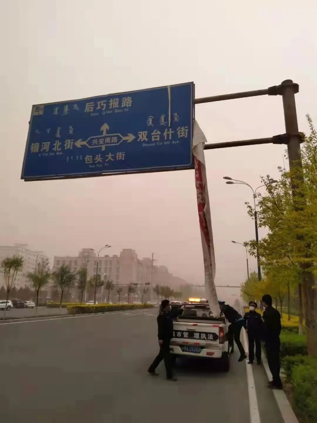 呼和浩特市展览馆西路大树被风连根拔起，路边停放车辆遭殃...休闲区蓝鸢梦想 - Www.slyday.coM