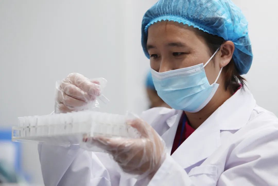 科技创新园引领精准医疗和大健康产业 杨峥 摄