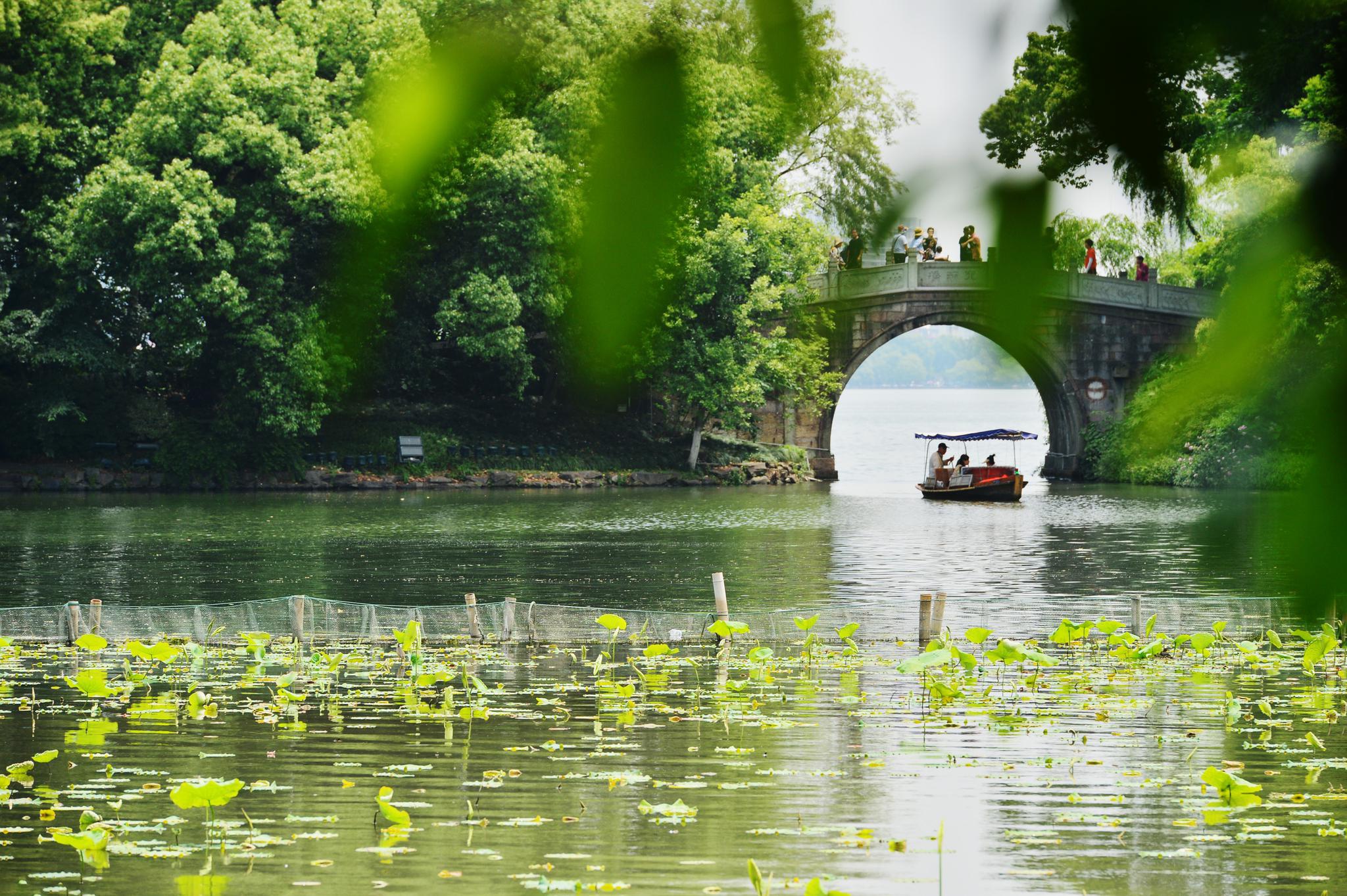 荷叶展开外套褪去杭州官宣正式入夏
