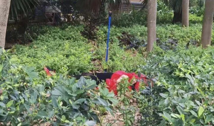 三亚警方通报“女子阳台外跳舞坠楼”：留有遗书休闲区蓝鸢梦想 - Www.slyday.coM