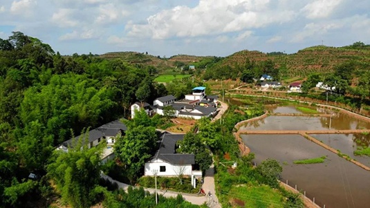 四川井研美了乡村富了农民